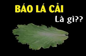 Báo Lá Cải