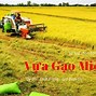 Giá Gạo Quê Hôm Nay Tại Đà Nẵng