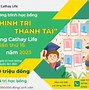 Học Bổng Tài Trợ Ueh Là Gì 2024 Mới Nhất