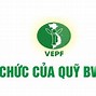 Quỹ Bảo Vệ Môi Trường Thành Phố Hồ Chí Minh